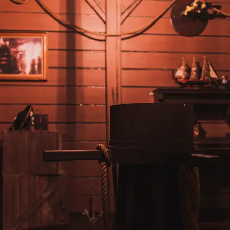 Pirates: Queen Anne's Revenge